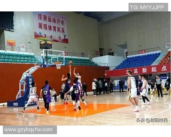 张伟独家分享排球心得与技巧提升之道助你成为排球高手